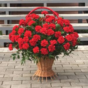 Корзина из красной гвоздики