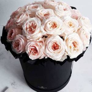 Крупных пионовидных роз в коробке №25