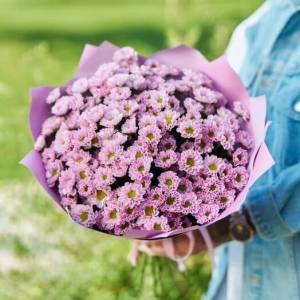 Хризантемы Сантини