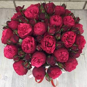 Букет из пионовидных роз "Взрывная страсть"