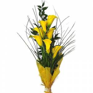 Букет из желтых калл "Аллегро"
