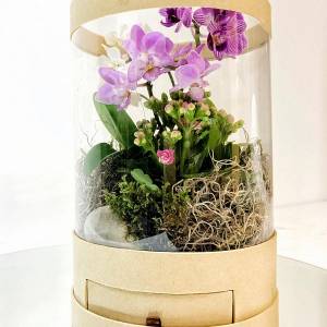 Фито - композиция № 10