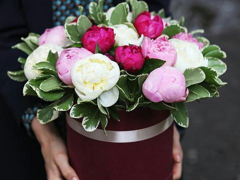 пионы в коробочке