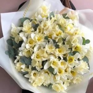 Букет из 51 белого нарцисса "Нежность"
