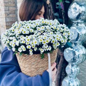 Корзина с ромашками сантини