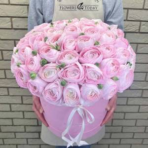 Нежные розовые ранункулюсы в коробке